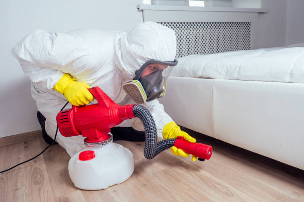 Best Wasp Removal Services  in Royal Oak, MI