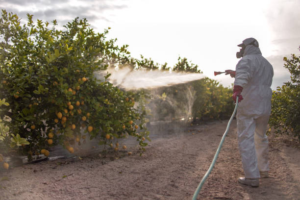 Best Affordable Pest Control Services  in Royal Oak, MI