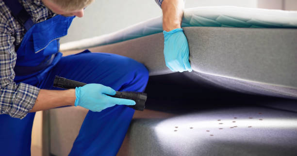 Best Best Pest Control Companies  in Royal Oak, MI