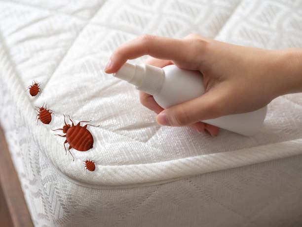 Best Pest Removal Services  in Royal Oak, MI